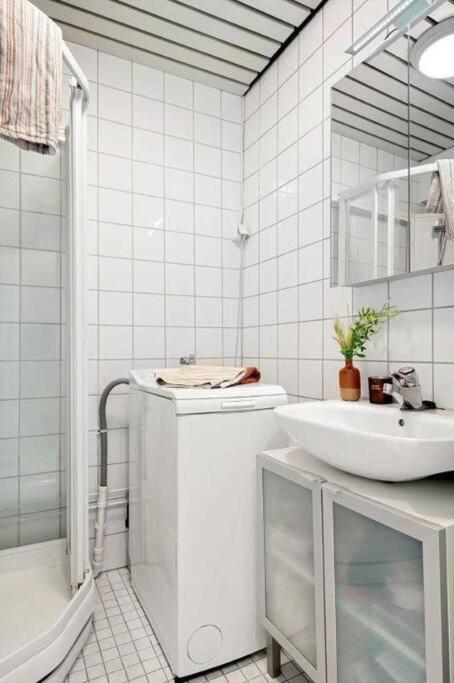 Praktisk 1-Roms Leilighet Oslo Kültér fotó